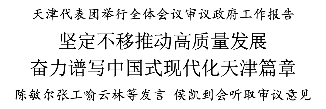 天津代表团举行全体会议审议政府工作报告