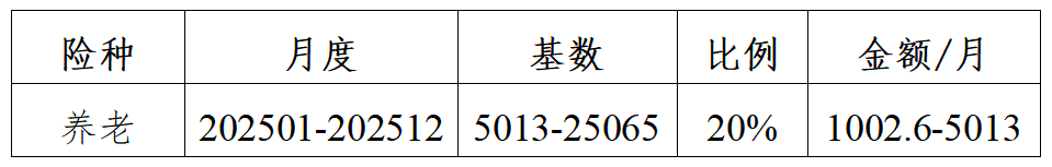养老保险​​